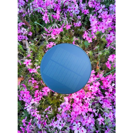 Lampa solarna CARLI DT33611 ZUMA LINE