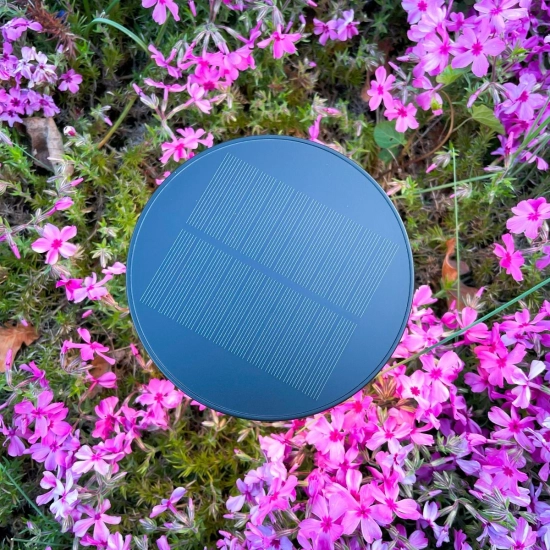 Lampa solarna CARLI DT33611 ZUMA LINE