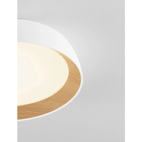 Plafon CARACOLLO LE44811 Luces Exclusivas - zdjęcie dodatkowe 1