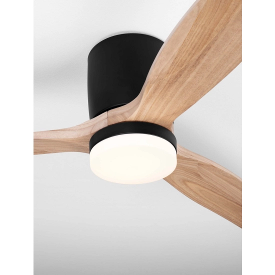 Wentylator GUARAYOS LE44964 Luces Exclusivas - zdjęcie dodatkowe 1