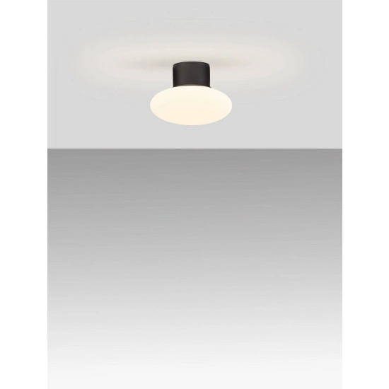 Plafon TARANZO LE75258 Luces Exclusivas - zdjęcie dodatkowe 1