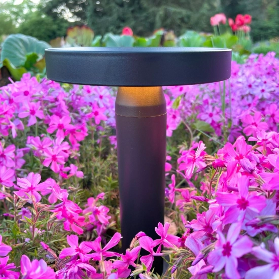 Lampa solarna CARLI DT33611 ZUMA LINE