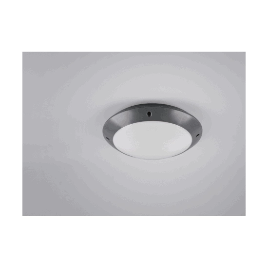 kinkiecik.pl Plafon CAMARO – R60501042 excl. 1x E27 · max. 12W IP54 TRIO
