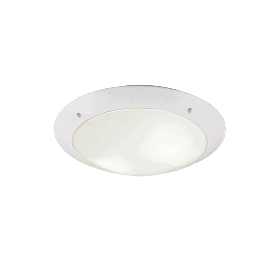kinkiecik.pl Plafon CAMARO – R60502031 excl. 2x E27 · max. 12W IP54 TRIO