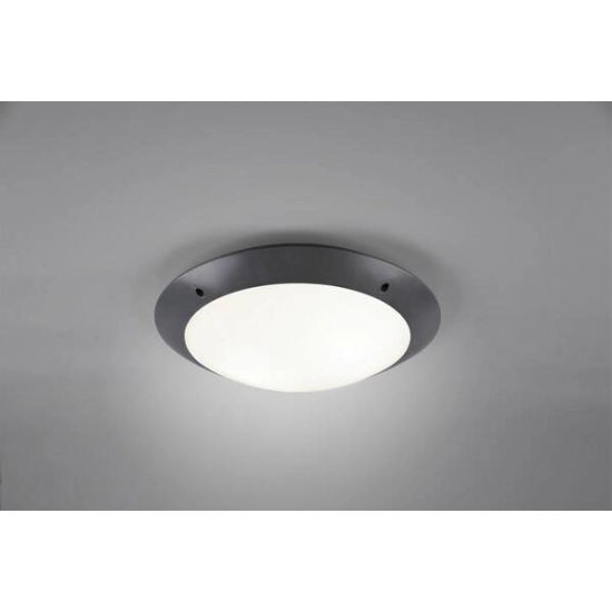 kinkiecik.pl Plafon CAMARO – R60502042 excl. 2x E27 · max. 12W IP54 TRIO