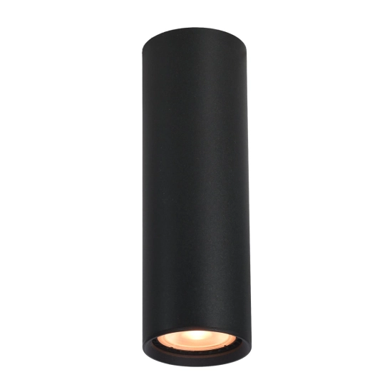 Plafon Lopus CLN-48930-M-BK Italux
