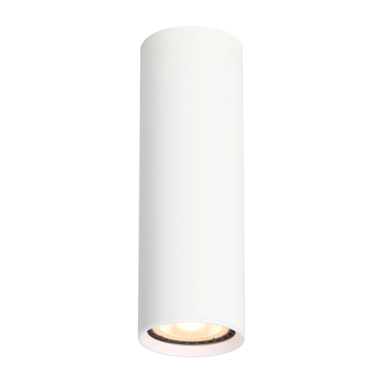 Plafon Lopus CLN-48930-M-WH Italux