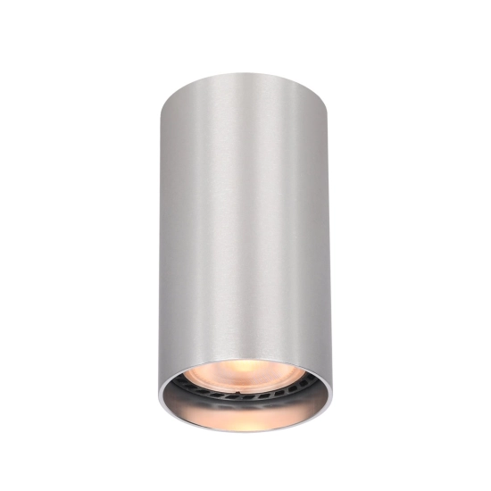 Plafon Lopus CLN-48930-S-ALU Italux