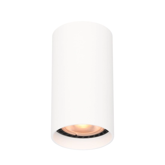 Plafon Lopus CLN-48930-S-WH Italux