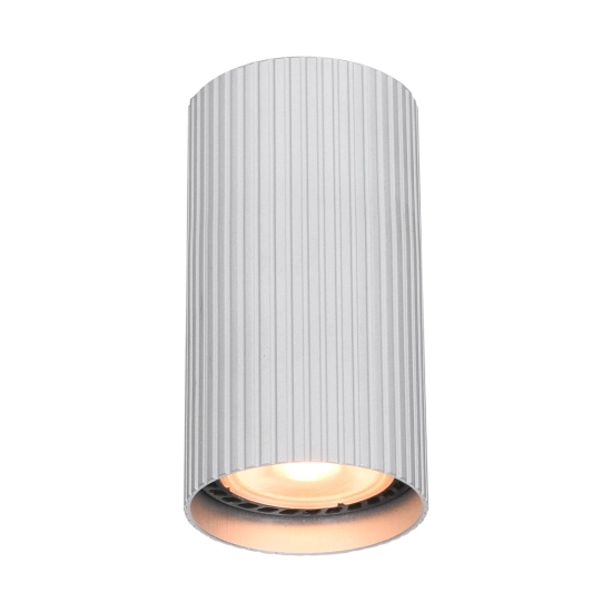 Plafon Rilok CLN-83920-S-ALU Italux