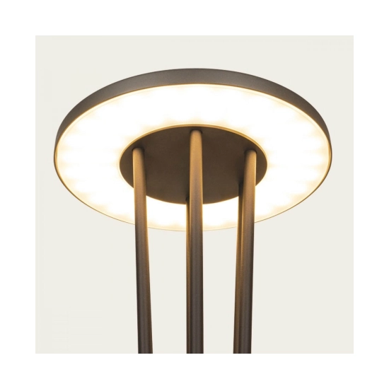 E445 OUTDOOR LAMP POST LED LIGHT 15.5W 3000K GRAPHITE ALUMINIUM IP65 Zambelis Lights
