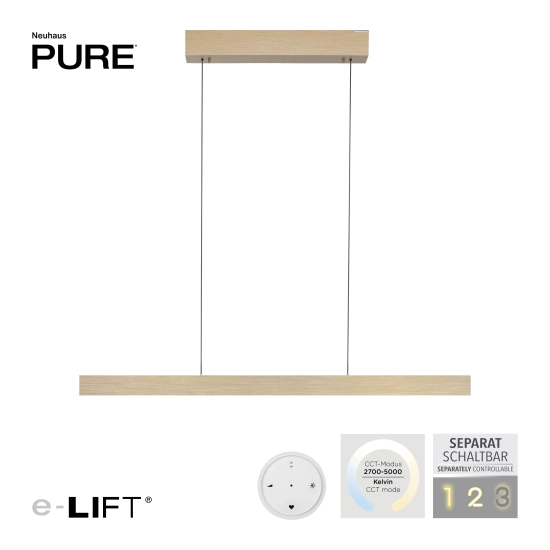 Lampa wisząca Pure E-motion Matowy Mosiądz 2570-60 Paul Neuhaus - zdjęcie produktu