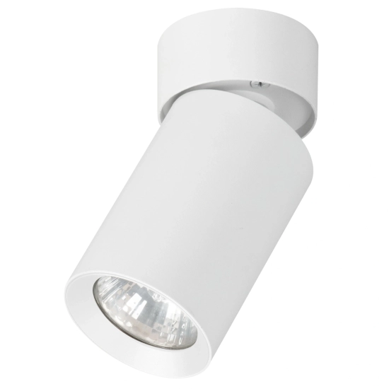 Lampa reflektor sufitowy FLEX BIAŁY 1xGU10 6cm 59026 ALFA