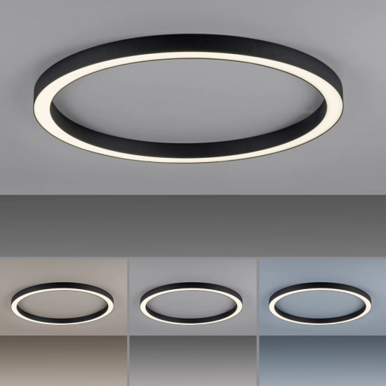Lampa sufitowa PURE-LINES 6306-13 Paul Neuhaus