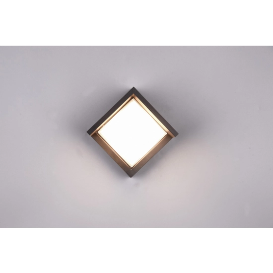 PUNO – R27026132 incl. 1x SMD LED, 8W · 1x 800lm, 3000K TRIO