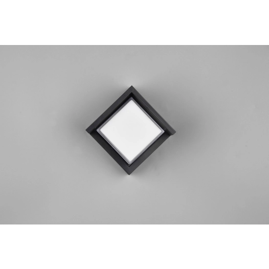 PUNO – R27026132 incl. 1x SMD LED, 8W · 1x 800lm, 3000K TRIO