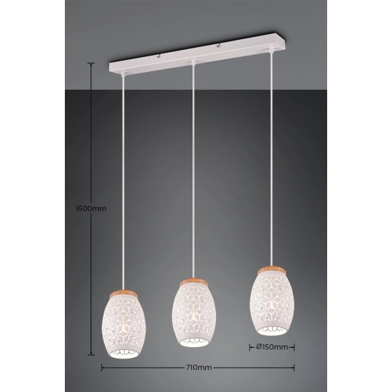 BIDAR – R31573031 excl. 3x E27 · max. 28W TRIO