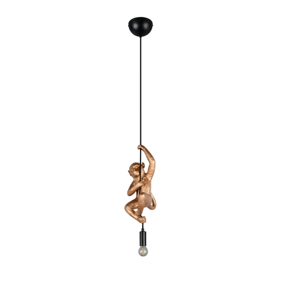 FIPS – R36551079 excl. 1x E14 · max. 10W TRIO