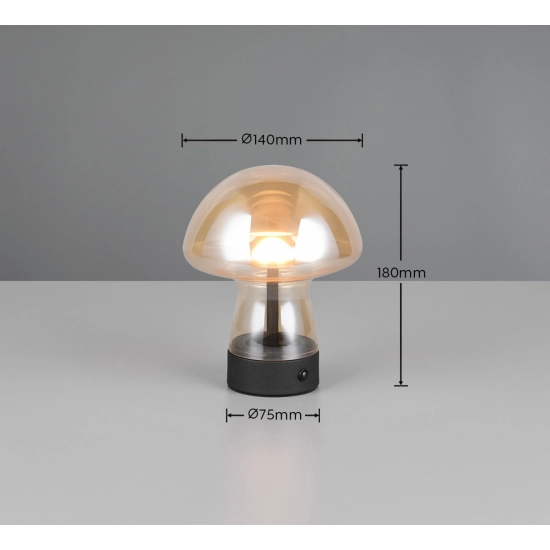 DOOLEY – R54981113 incl. 1x SMD, 1,5W · 1x 140lm, 3000K TRIO
