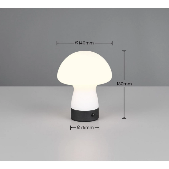 DOOLEY – R54981131 incl. 1x SMD, 1,5W · 1x 140lm, 3000K TRIO