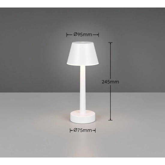 VIDAL – R54991131 incl. 1x SMD, 1,5W · 1x 150lm, 3000K TRIO