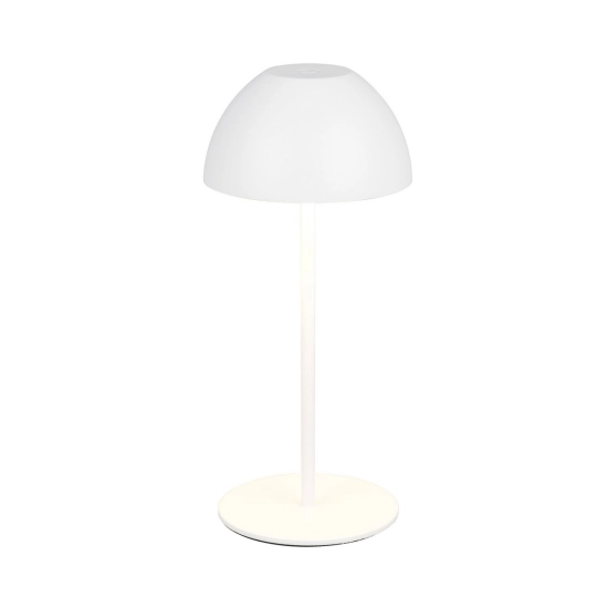 ORTIZ – R55601131 incl. 1x SMD, 2W · 1x 150lm, 3000K TRIO
