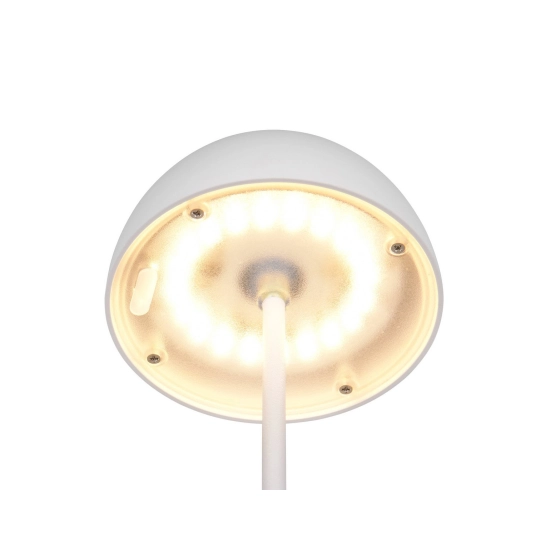 ORTIZ – R55601131 incl. 1x SMD, 2W · 1x 150lm, 3000K TRIO