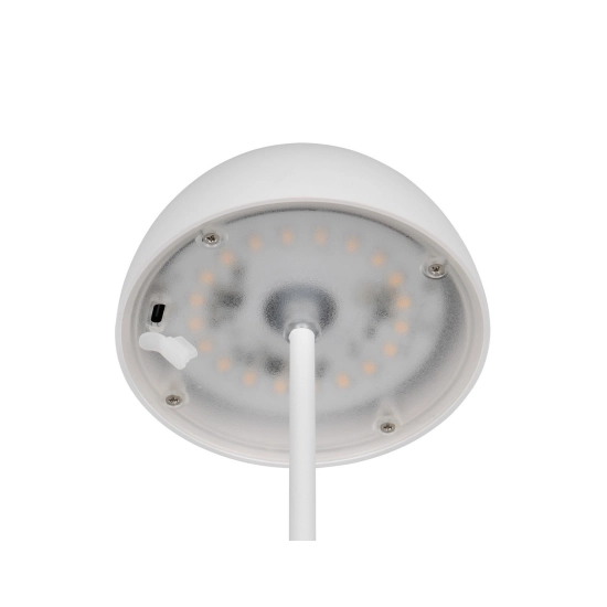 ORTIZ – R55601131 incl. 1x SMD, 2W · 1x 150lm, 3000K TRIO