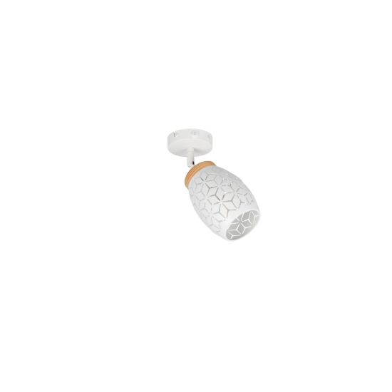 BIDAR – R81571731 excl. 1x E14 · max. 10W TRIO