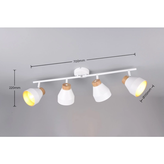 VALENTIN – R81924031 excl. 4x E14 · max. 10W TRIO