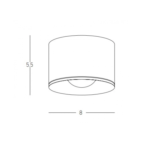 S132 CEILING LED LIGHT 12W WHITE IP54 Zambelis Lights