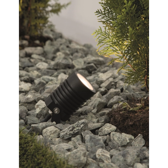 Reflektor ROSITA LE71621 Luces Exclusivas - zdjęcie dodatkowe 2