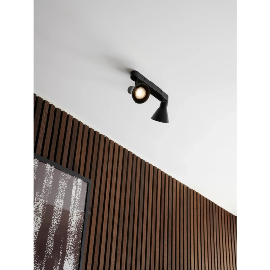 kinkiecik.pl Czarna lampa sufitowa Eik - Nordlux - dwa klosze 45770103