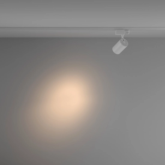 Lampa szynowa Vuoro Trinity 3000K 10W 24° TR029-3-10W3K-S-W Maytoni - zdjęcie dodatkowe 4