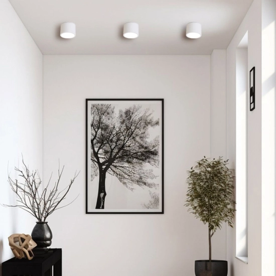 Kendal oprawa natynkowa 1 x GX53 biała LP-6331/1SM IP65 WH LIGHT PRESTIGE
