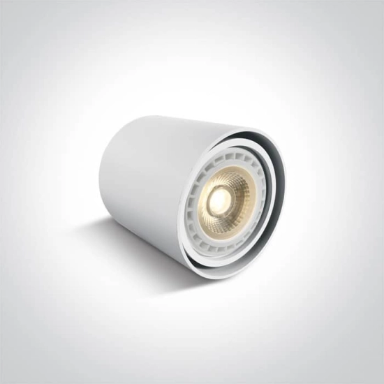 kinkiecik.pl Plafon Adjustable Ceiling Lights 12142/W ONE LIGHT