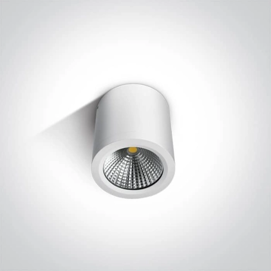 kinkiecik.pl Plafon COB Outdoor Ceiling Cylinders 67380/W/W ONE LIGHT