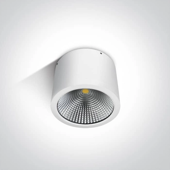 kinkiecik.pl Plafon COB Outdoor Ceiling Cylinders 67380A/W/W ONE LIGHT