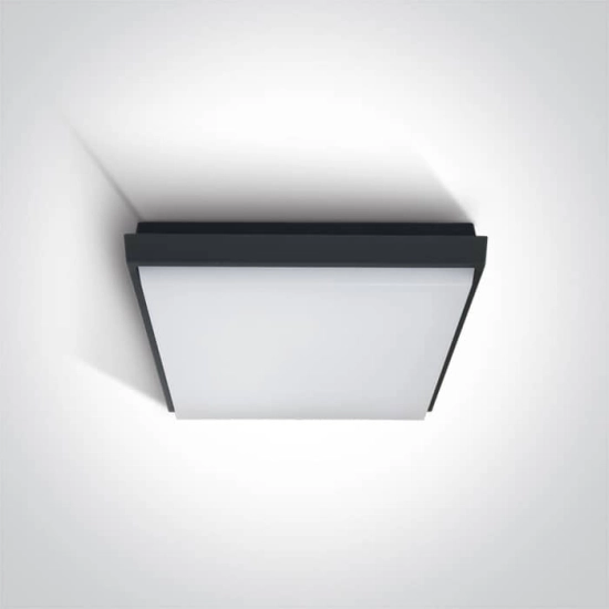 kinkiecik.pl Plafon Outdoor Slim LED Plafo Die cast 67362A/AN/W ONE LIGHT