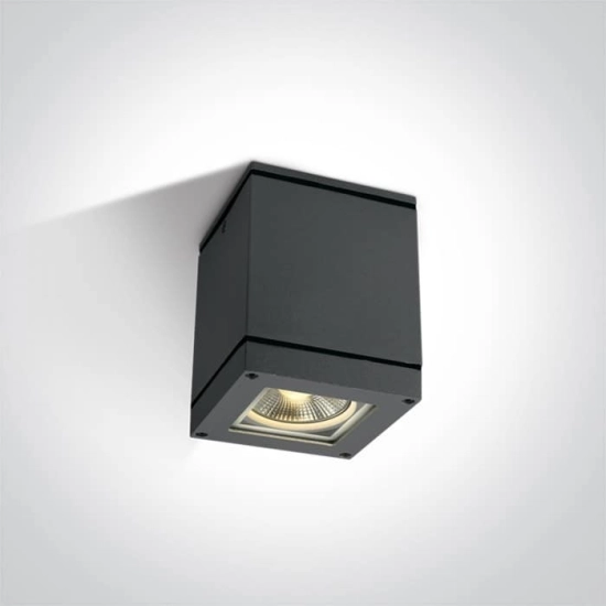 kinkiecik.pl Plafon PAR30 Outdoor Cubes Die cast 67132D/AN ONE LIGHT