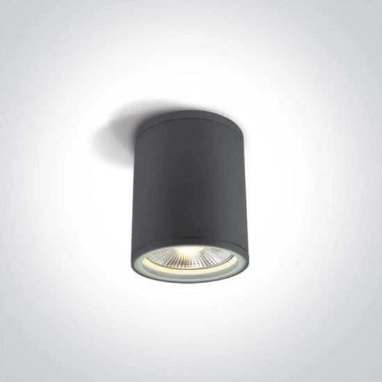 kinkiecik.pl Plafon PAR30 Outdoor Cylinders Die cast 67132C/AN ONE LIGHT