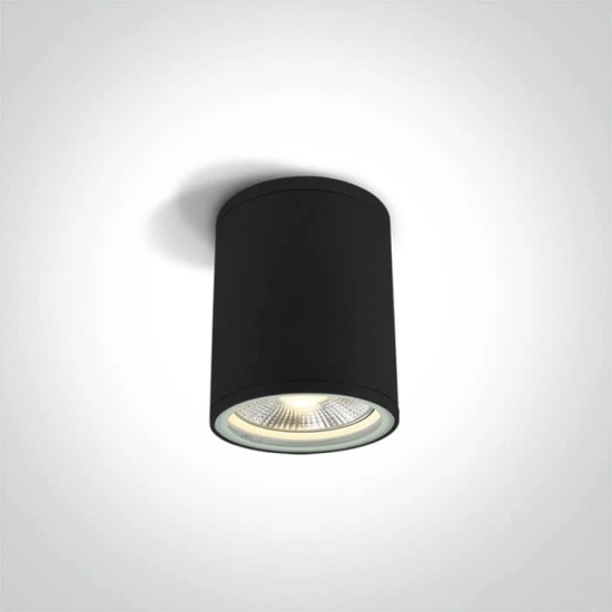 kinkiecik.pl Plafon PAR30 Outdoor Cylinders Die cast 67132C/B ONE LIGHT