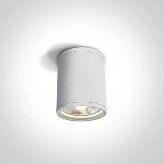 kinkiecik.pl Plafon PAR30 Outdoor Cylinders Die cast 67132C/W ONE LIGHT