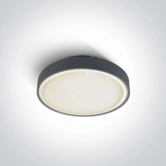 kinkiecik.pl Plafon The LED Plafo Outdoor Round 67280N/AN/W ONE LIGHT