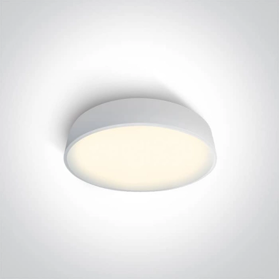 kinkiecik.pl Plafon The LED Project Plafo Metal 62118D/W/W ONE LIGHT