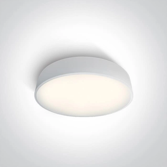 kinkiecik.pl Plafon The LED Project Plafo Metal 62125D/W/C ONE LIGHT 40cm