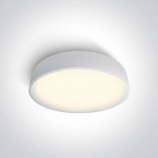kinkiecik.pl Plafon The LED Project Plafo Metal 62150D/W/W ONE LIGHT