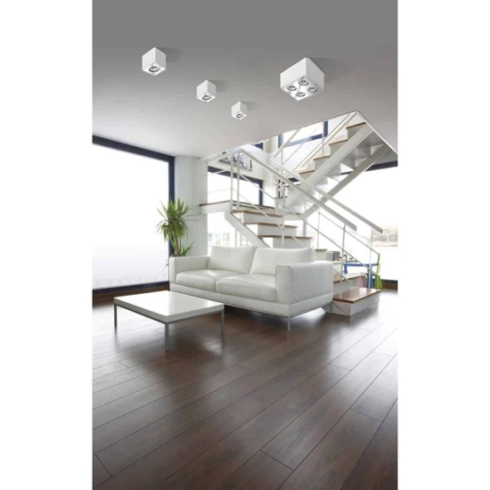 Plafon Nino 1 (white/aluminium) AZ0598 AZZARDO