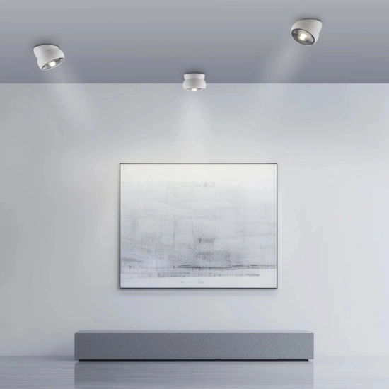 Lampa sufitowa PURE MOVE 6235-16 Paul Neuhaus by Zuma Line