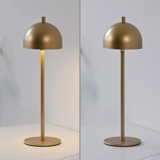 Lampa stołowa BELLIS 19244-12 Paul Neuhaus by Zuma Line
